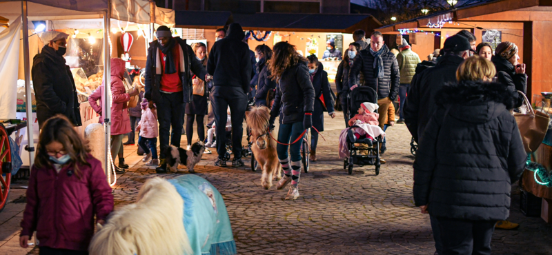 Marché de Noël Anthony Sion Ville de Riorges Décembre 2021 2811