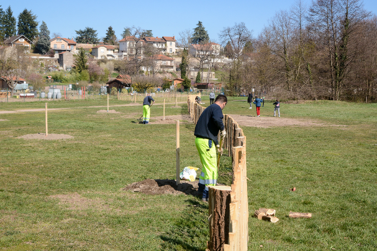 Plantation verger Rivoire Anthony Sion Ville de Riorges