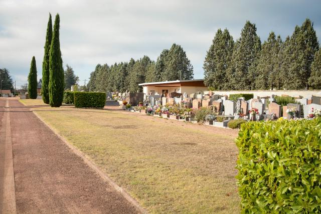 Végétalisation du cimetière : pour une gestion plus durable