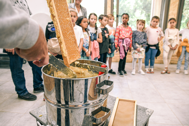 160 élèves de CP ont assisté à l’extraction du miel des ruches municipales