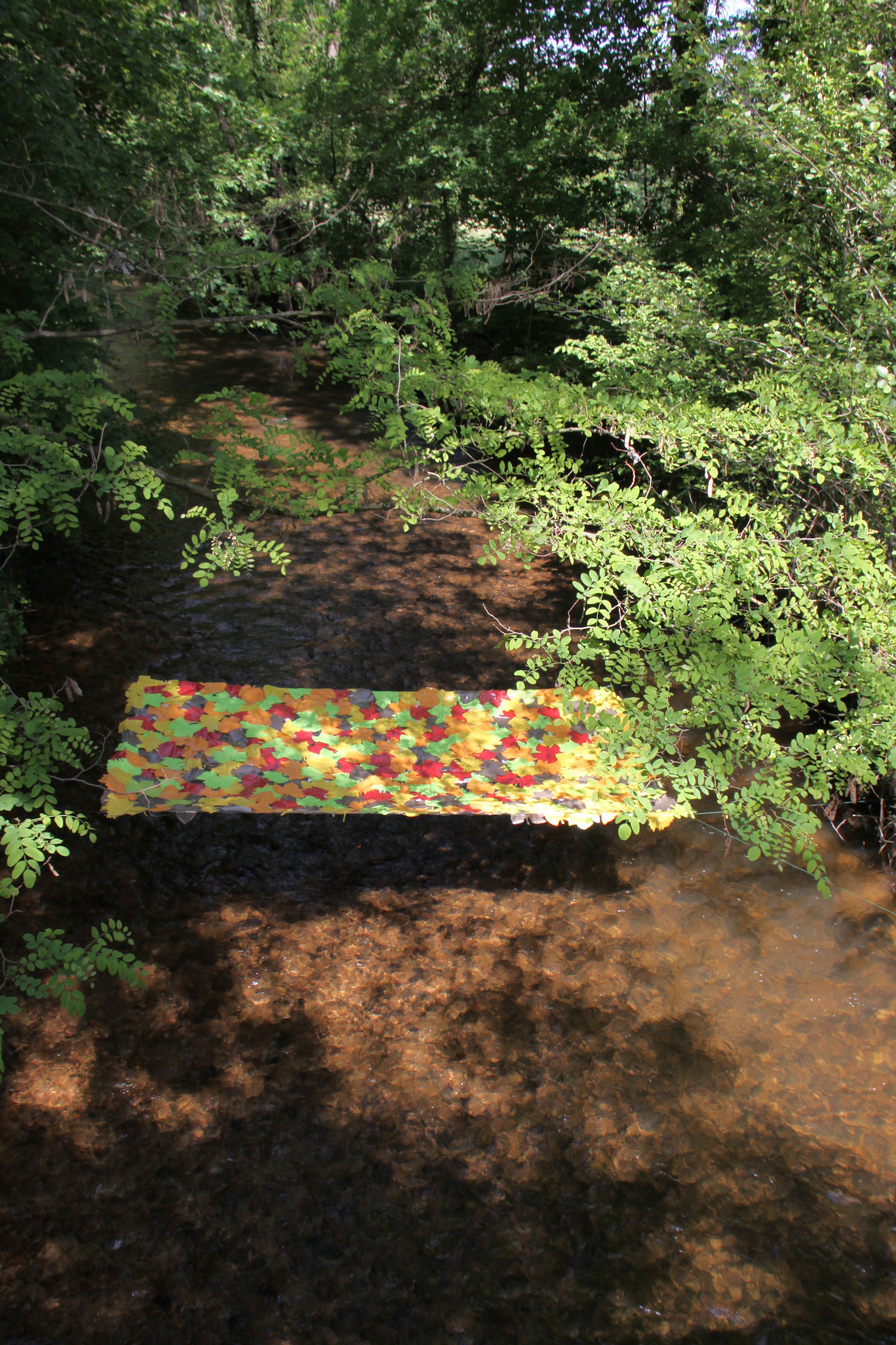 Le tapis des vignobles