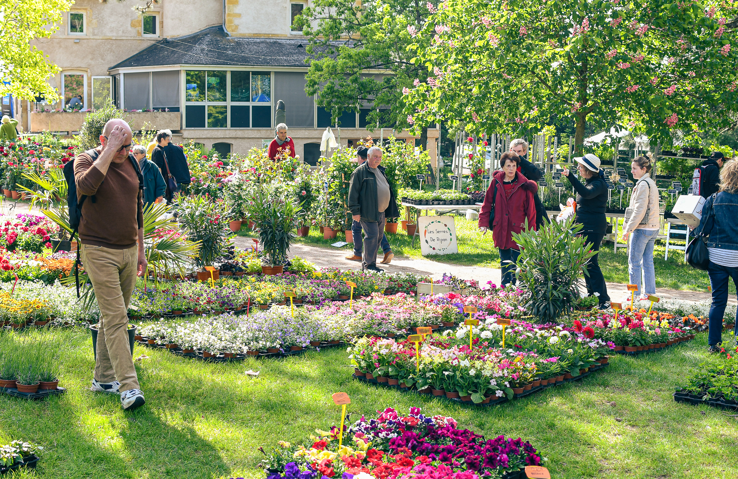 Fête des Fleurs Anthony Sion Mai 2023 10