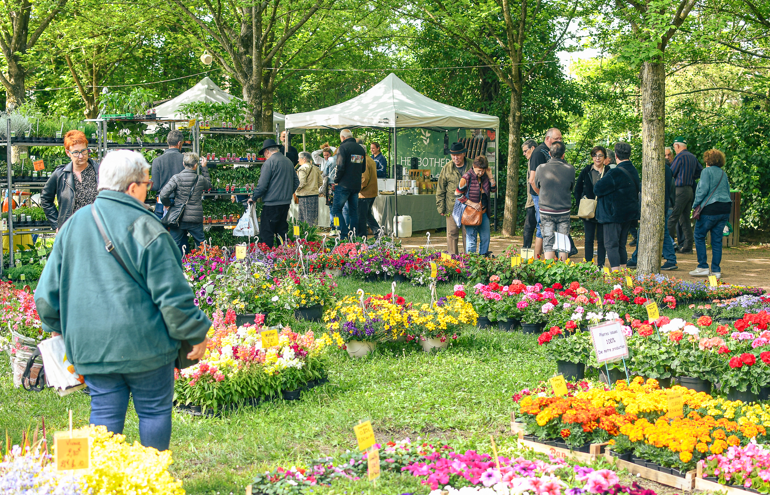 Fête des Fleurs Anthony Sion Mai 2023 12