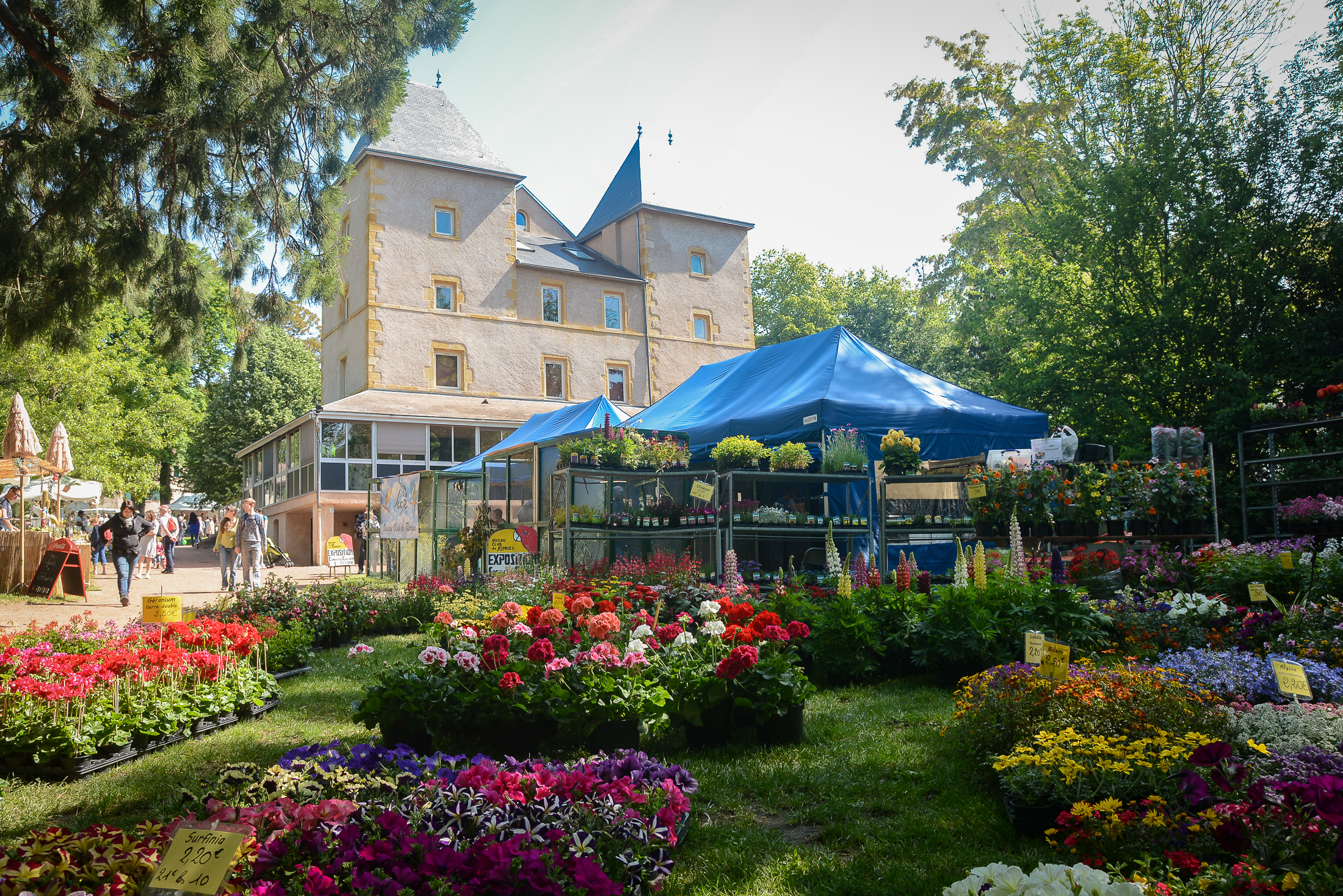 Fête des Fleurs Anthony Sion Ville de Riorges Mai 2018 18