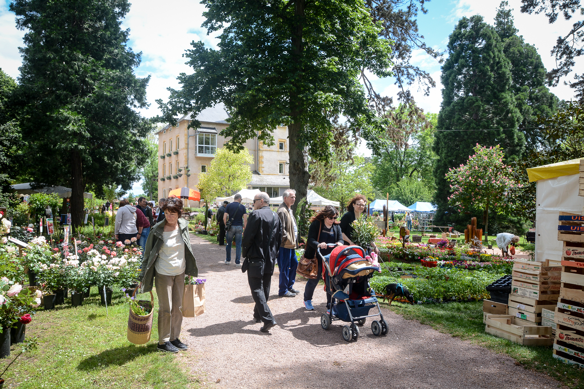 Fête des fleurs jour 1 mai 2017 21