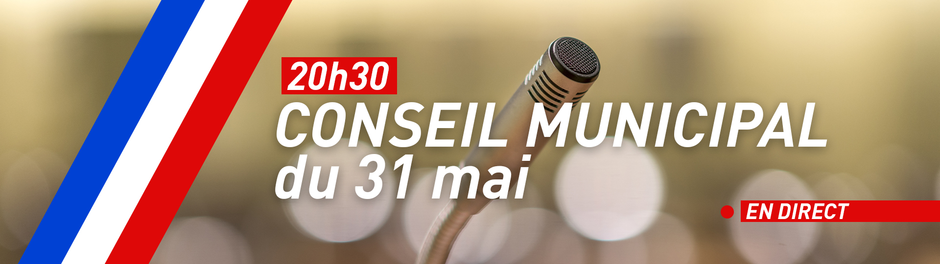Conseil Municipal Riorges