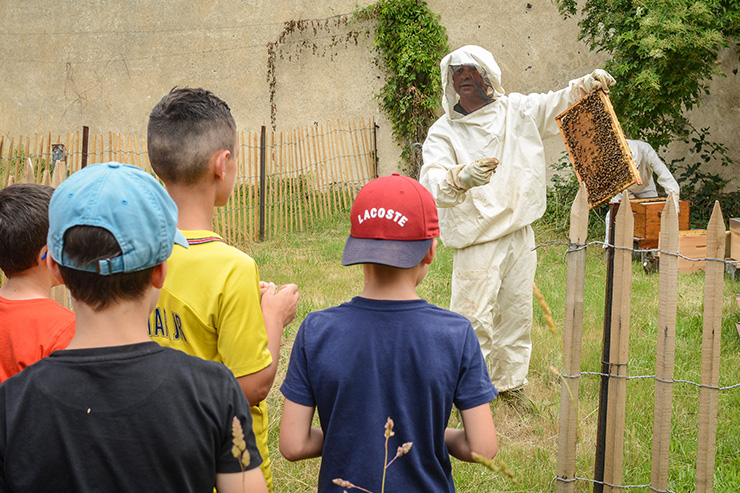 La biodiversité s’invite dans les écoles et les familles
