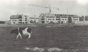 place-centrale-avant-travaux