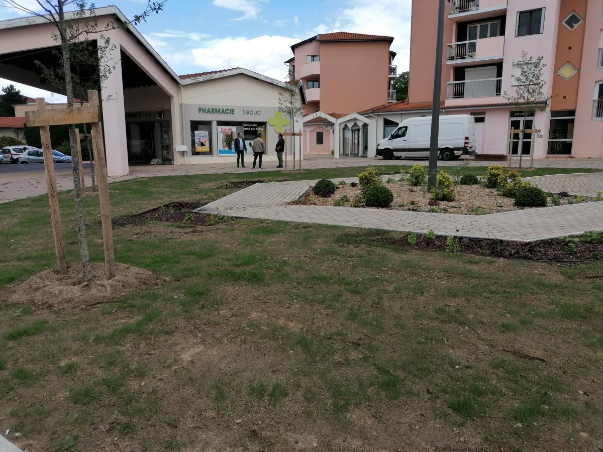 IMG20200618161903