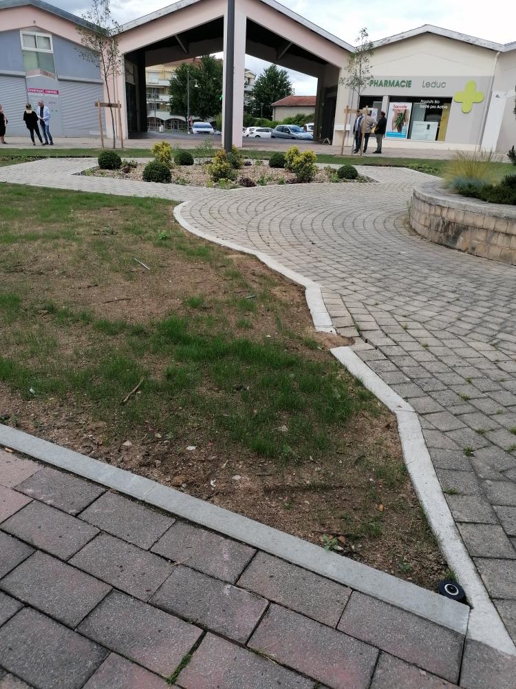 IMG20200618161937