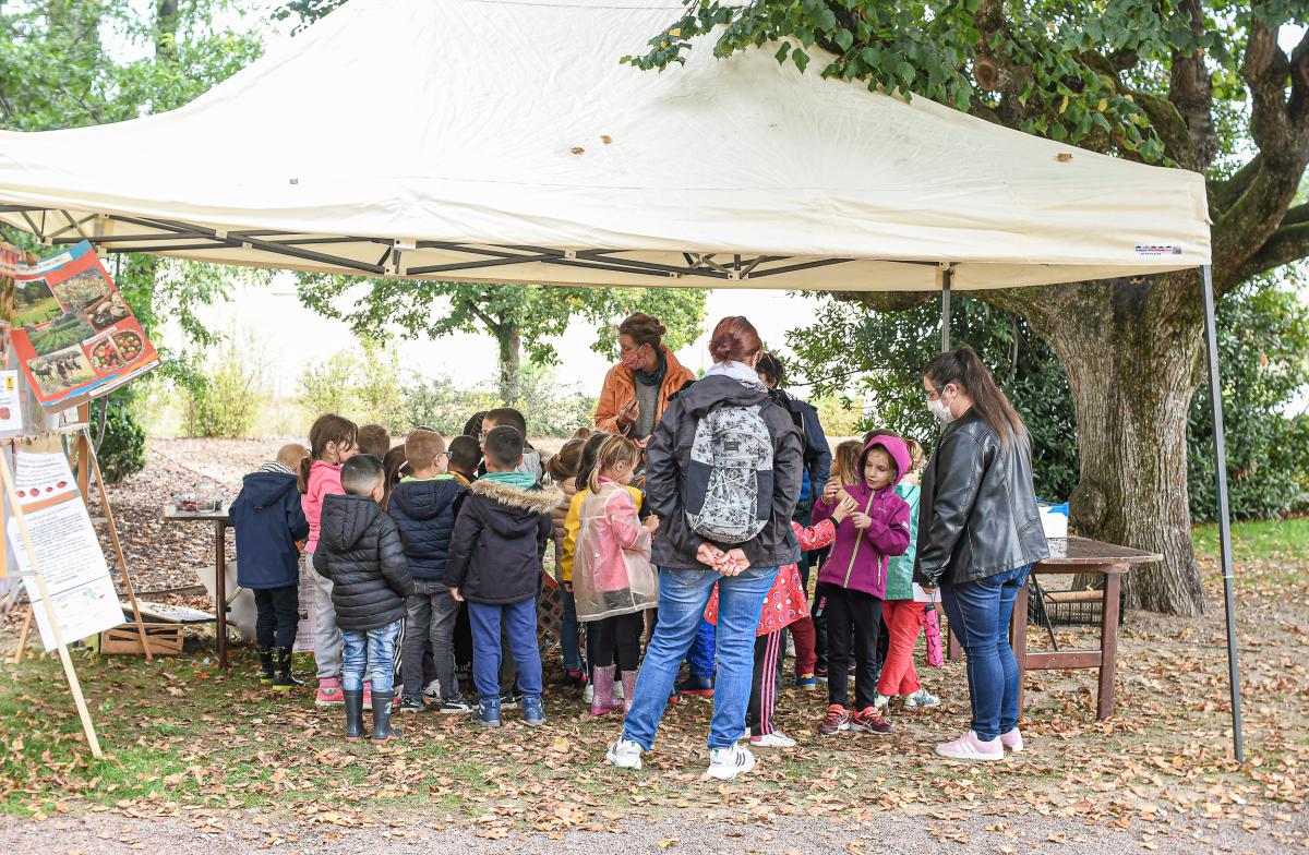 Fete-des-abeilles---Anthony-Sion---Ville-de-Riorges---Septembre-2020-19