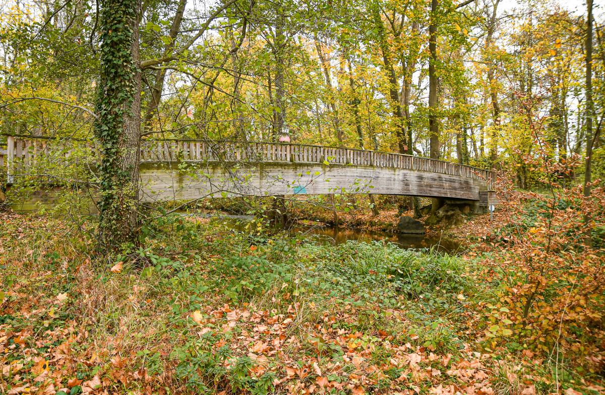 Allee-de-Neubourg---Anthony-Sion---Ville-de-Riorges---Novembre-2020-10