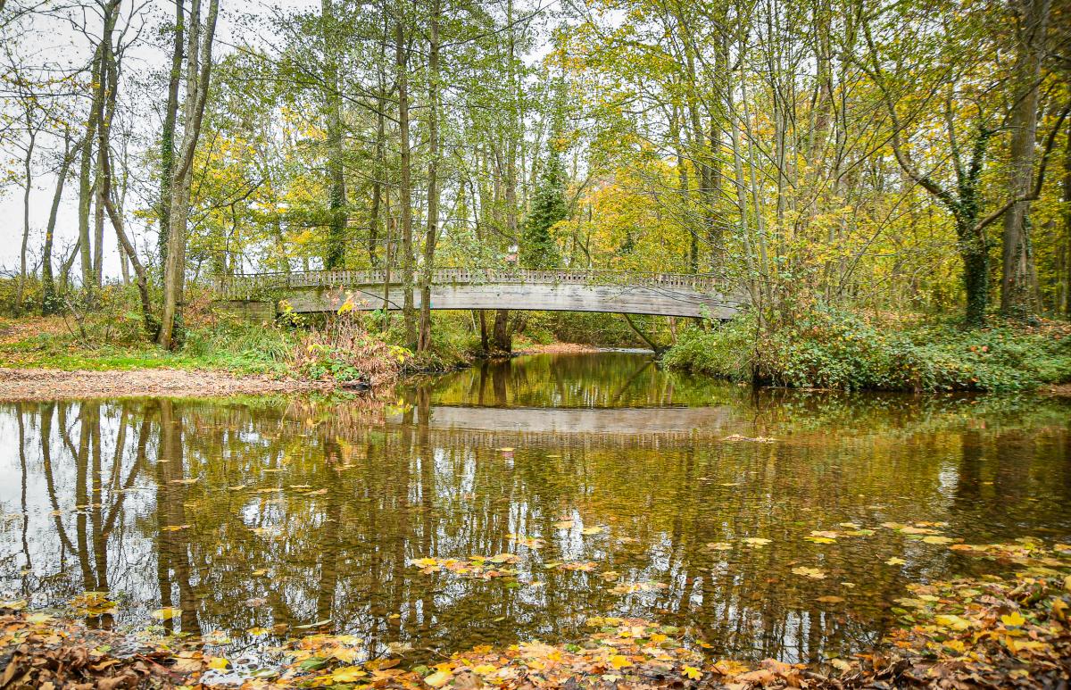 Allee-de-Neubourg---Anthony-Sion---Ville-de-Riorges---Novembre-2020-11