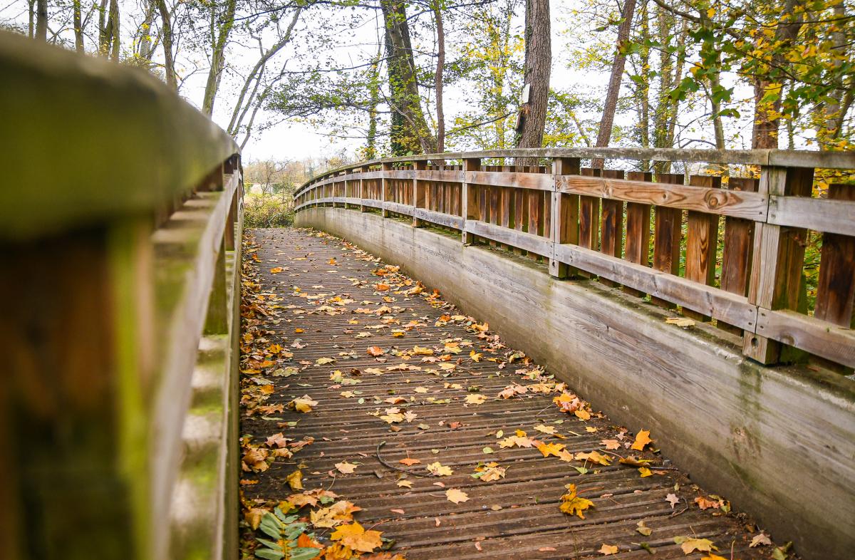 Allee-de-Neubourg---Anthony-Sion---Ville-de-Riorges---Novembre-2020-12