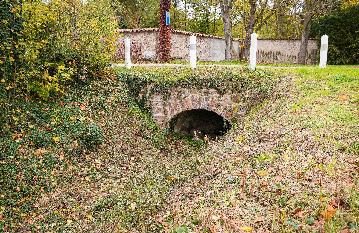 Allee-de-Neubourg---Anthony-Sion---Ville-de-Riorges---Novembre-2020-13