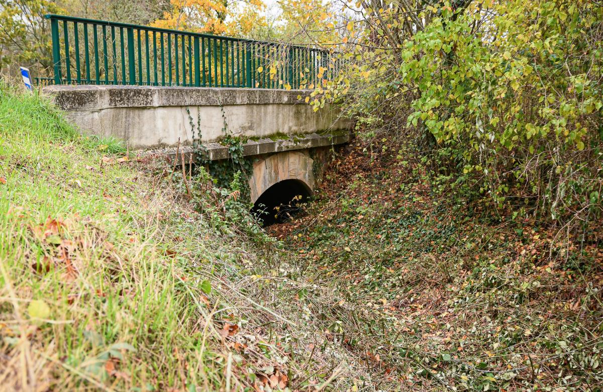 Allee-de-Neubourg---Anthony-Sion---Ville-de-Riorges---Novembre-2020-14