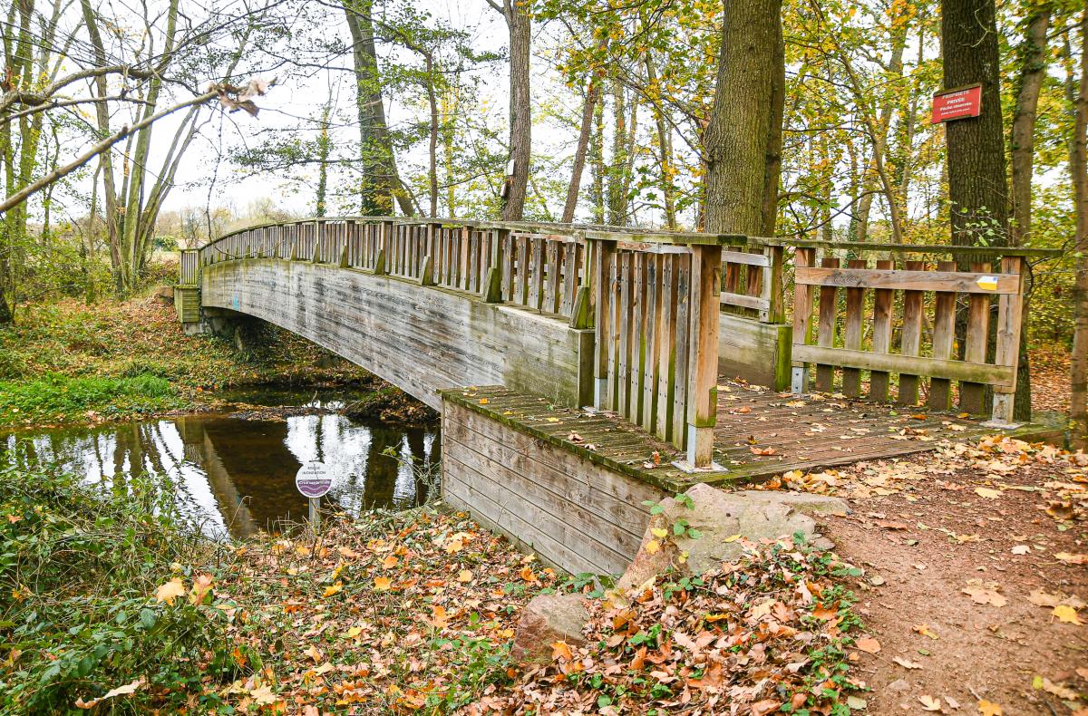 Allee-de-Neubourg---Anthony-Sion---Ville-de-Riorges---Novembre-2020-8