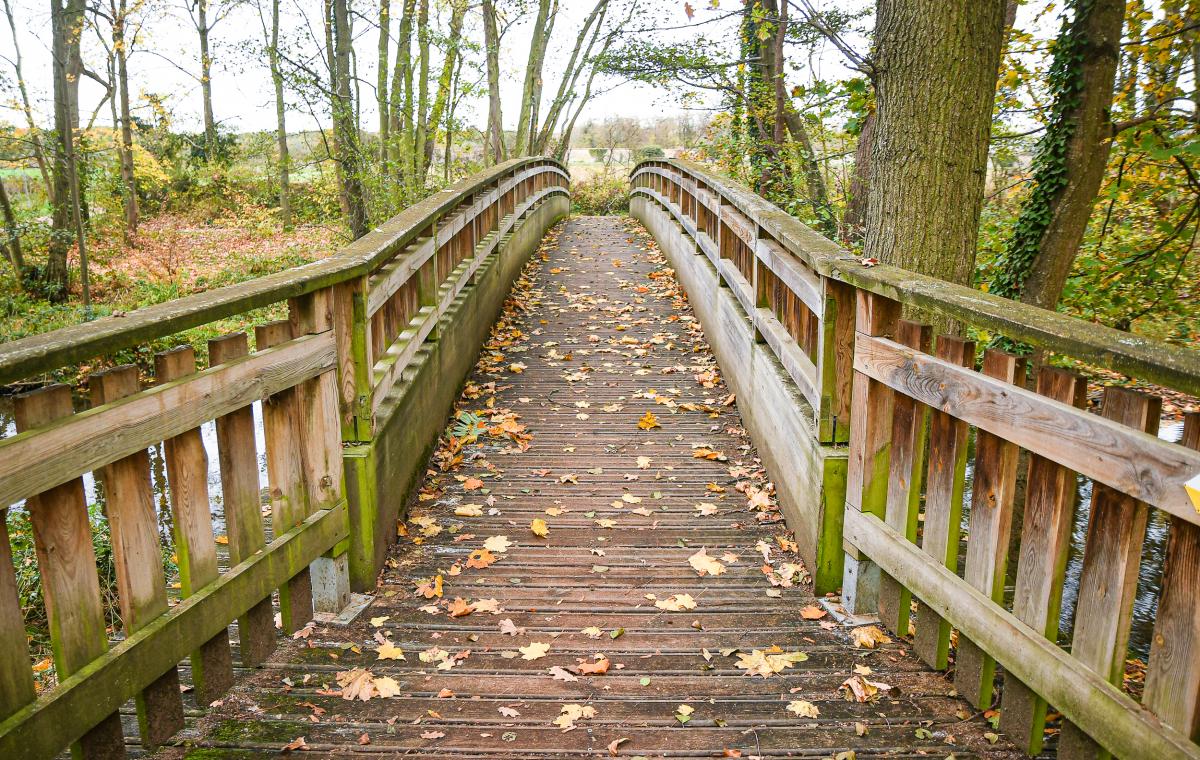 Allee-de-Neubourg---Anthony-Sion---Ville-de-Riorges---Novembre-2020-9