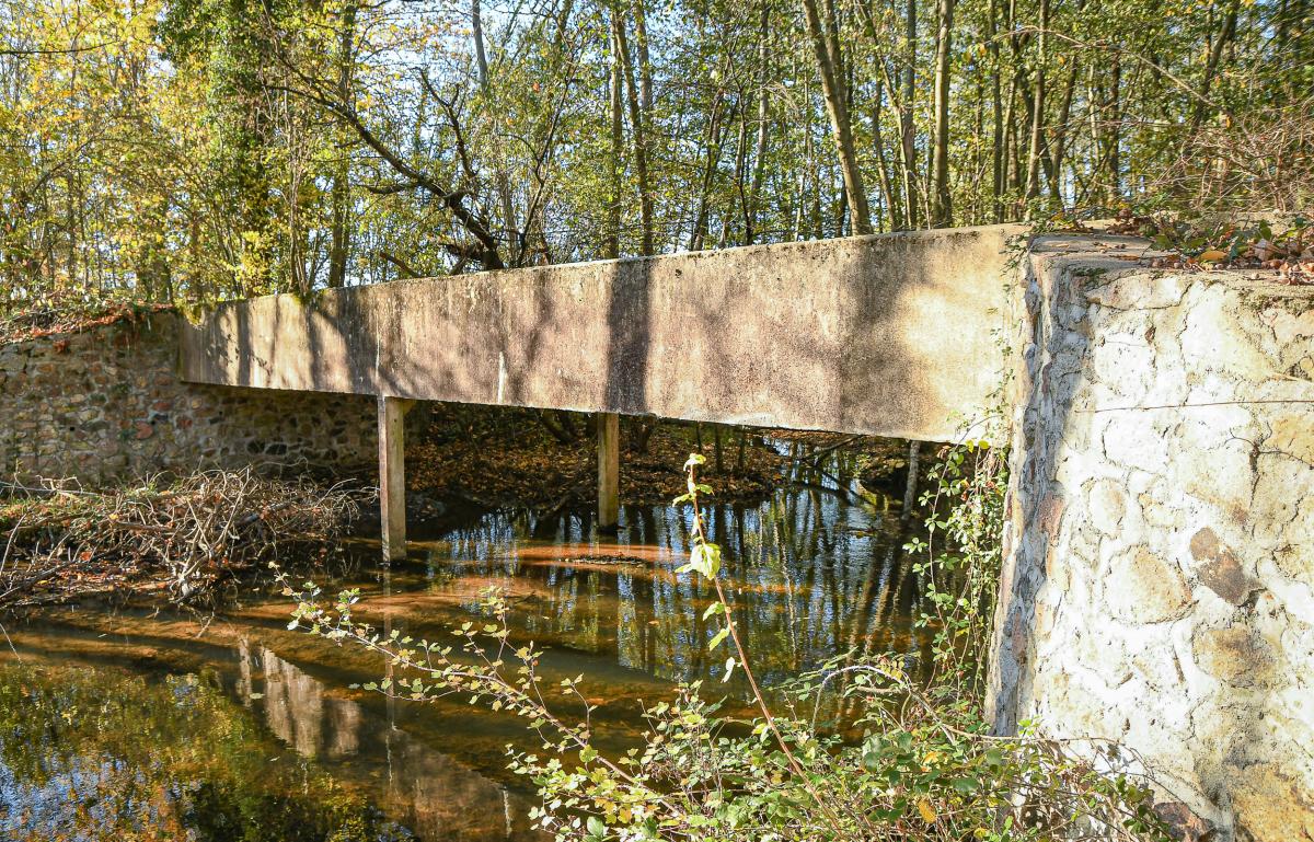 Pont-Canal---Anthony-Sion---Ville-de-Riorges---Novembre-2020-5