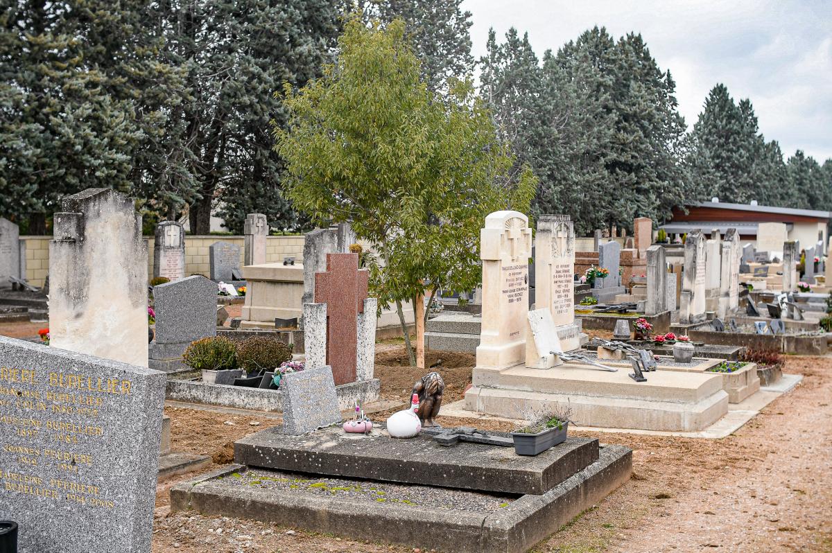 Cimetiere---Anthony-Sion---Ville-de-Riorges---Janvier-2021-12