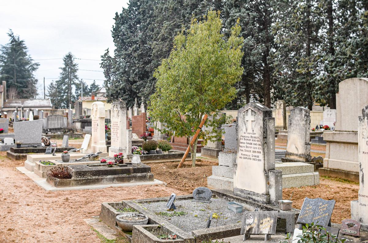 Cimetiere---Anthony-Sion---Ville-de-Riorges---Janvier-2021-13