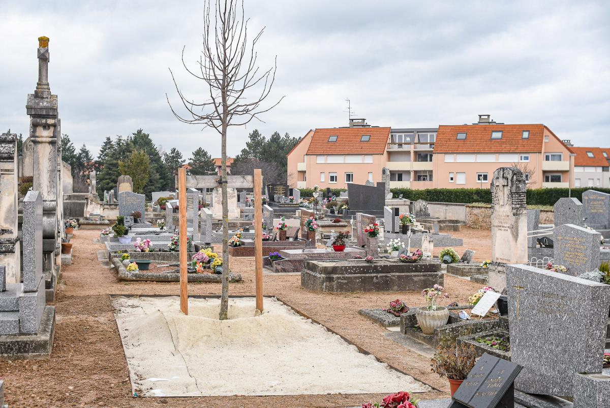 Cimetiere---Anthony-Sion---Ville-de-Riorges---Janvier-2021-4