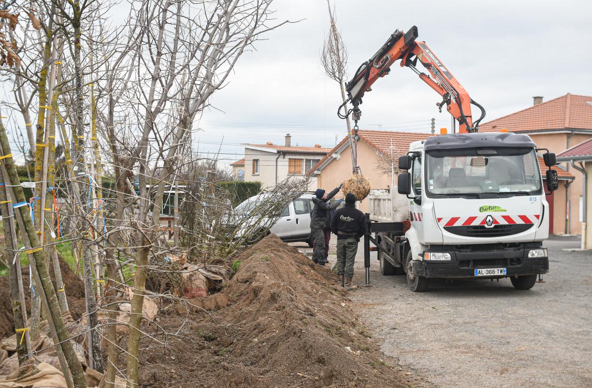 Plantation---Anthony-Sion---Ville-de-Riorges---Janvier-2021-3