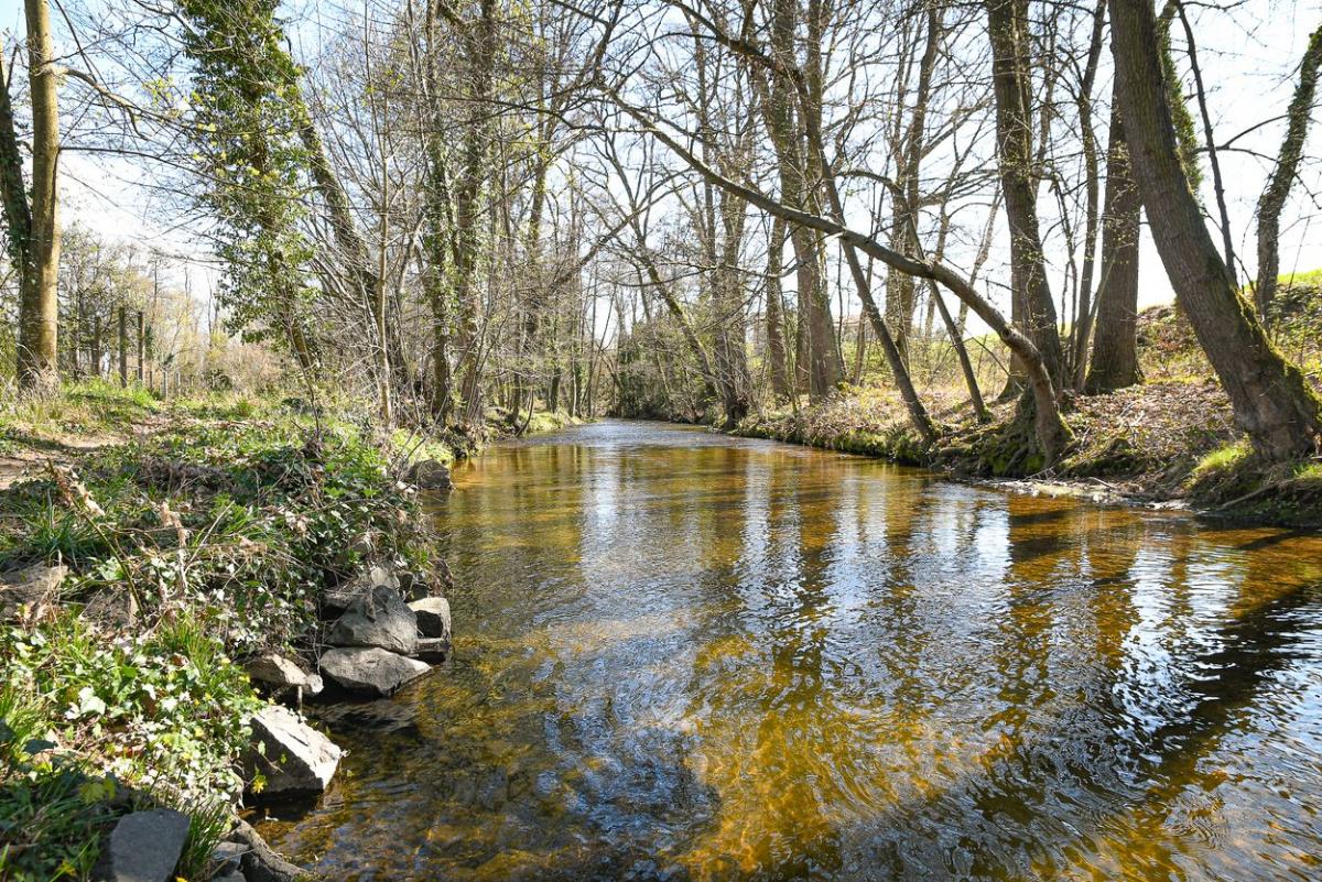 Plaine-de-la-Rivoire---Anthony-Sion---Ville-de-Riorges---Mars-2021jpg-78