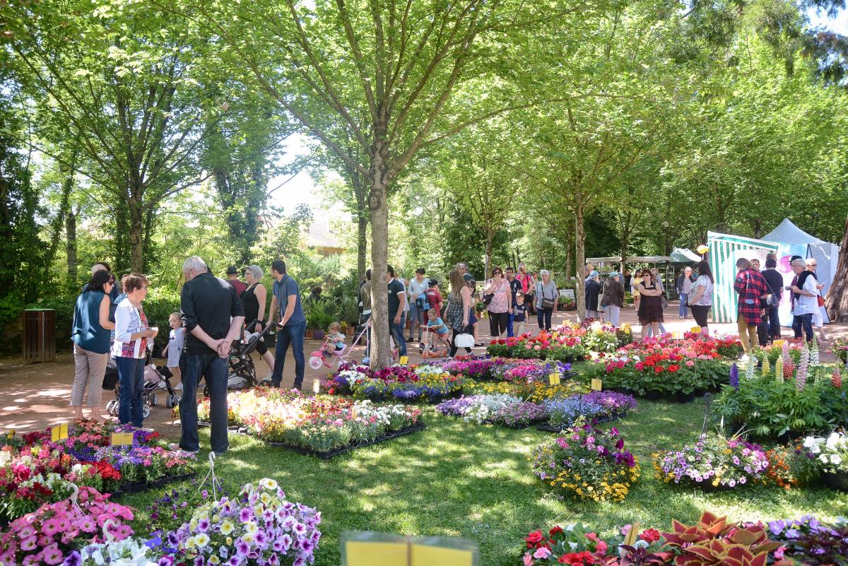 Fete-des-Fleurs---Anthony-Sion---Ville-de-Riorges---Mai-2018-86