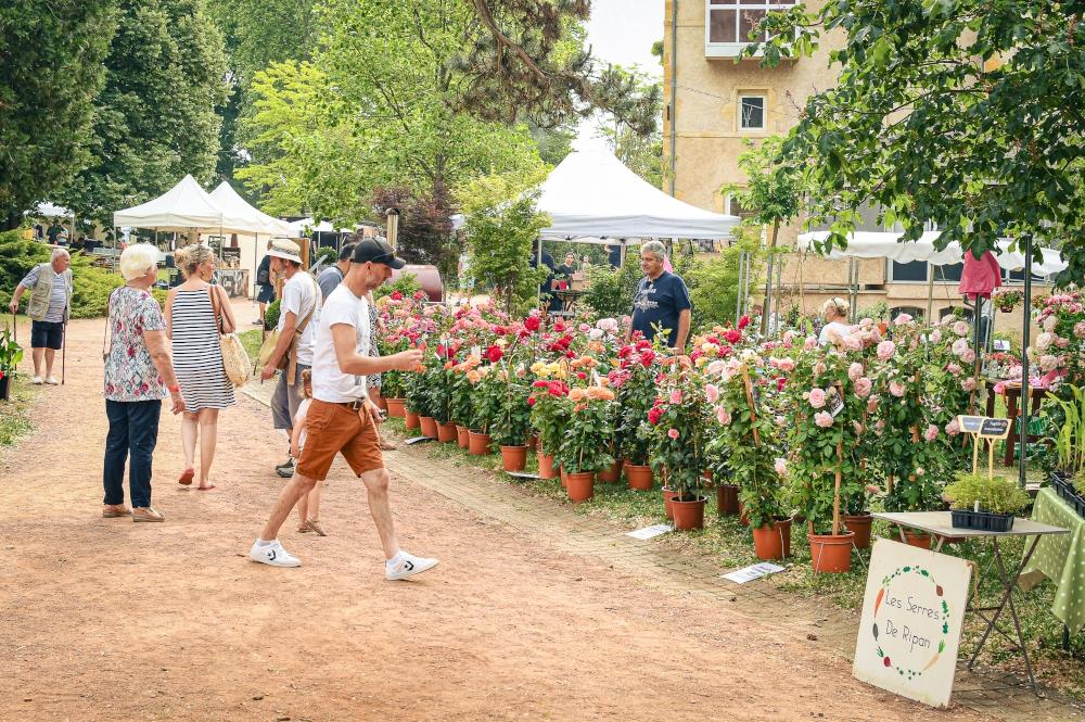 Fete-des-Fleurs---Anthony-Sion---Ville-de-Riorges---mai-2022-228