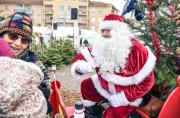 Marche-de-Noel---Anthony-Sion---Decembre-2023-42
