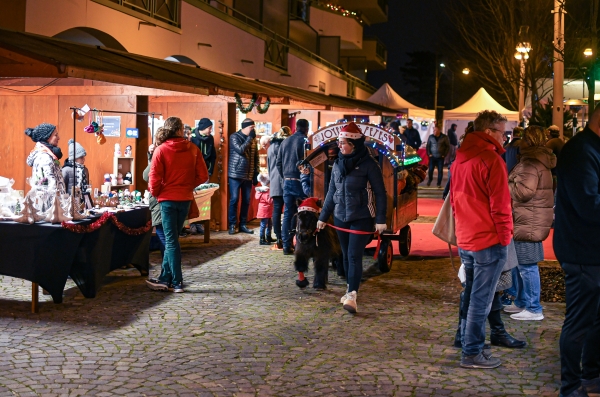 Marché_de_Noël_-_Anthony_Sion_-_Décembre_2022-20