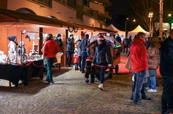 Marché_de_Noël_-_Anthony_Sion_-_Décembre_2022-20