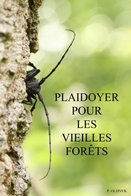 Plaidoyer_pour_les_vieilles_forêts_P._Olijnyk