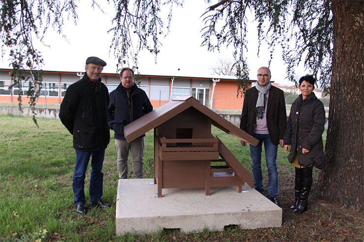 maisons de chats